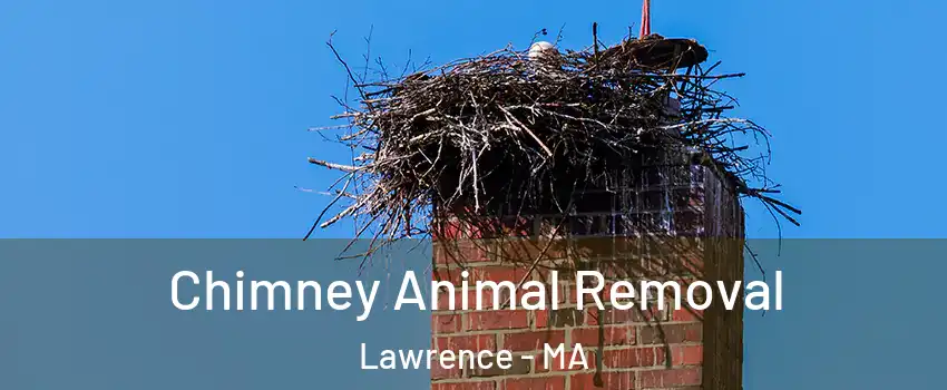  Chimney Animal Removal Lawrence - MA