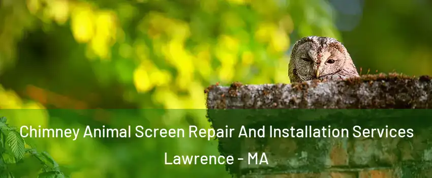  Chimney Animal Screen Repair And Installation Services Lawrence - MA