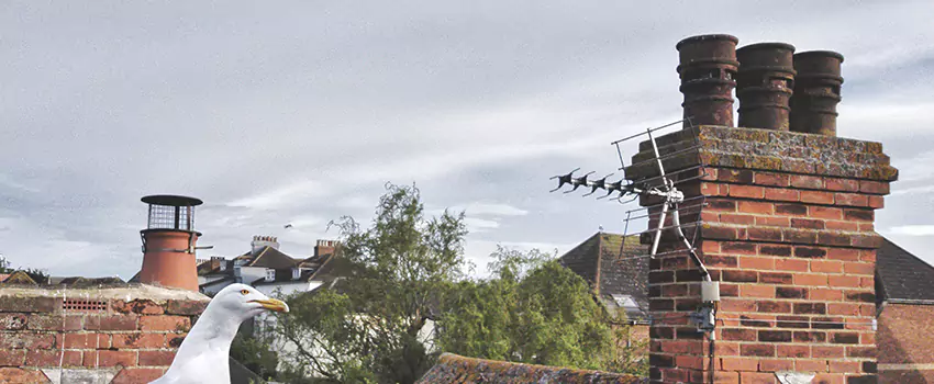 Chimney Cleaning And Restoration in Lawrence, Massachusetts